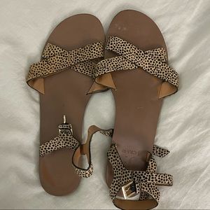 J by J. Crew Calf Hair Leopard Print Sandal